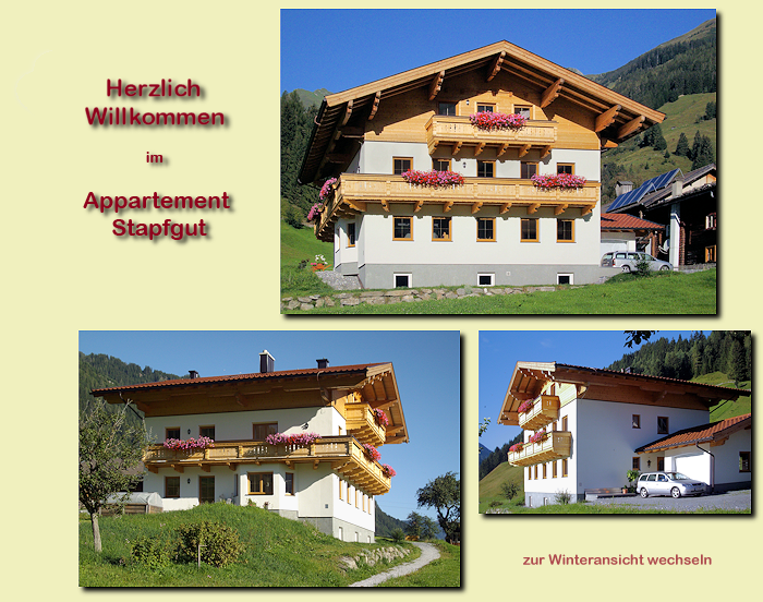 Sommeransichten Appartment Stapfgut